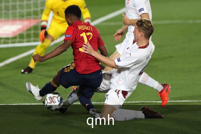 qmh公司简介